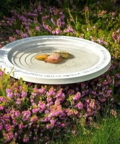 Wildlife World Deck & Ground Bird Baths Aged Stone Step-In Bird Bath