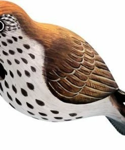 Bobbo Hermit Thrush Wooden Birdhouse Unique Birdhouses