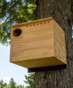 Nature Products USA Birdhouse Kits Barn Owl House- Assembled Or Kit