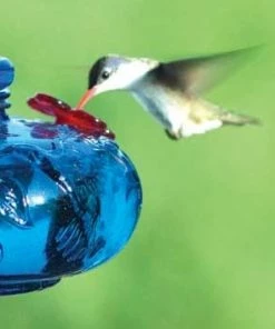 Parasol Hummingbird Feeders Bloom Perch Hummingbird Feeder- Aqua Or Green