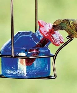 Parasol Hummingbird Feeders Bouquet Sparkle Hummingbird Feeder