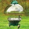 Droll Yankees Big Top Squirrel Proof Bird Feeder Squirrel-Proof Feeders
