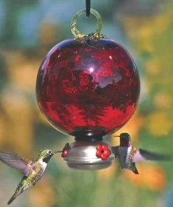Parasol Dew Drop Ruby Red Hummingbird Feeder