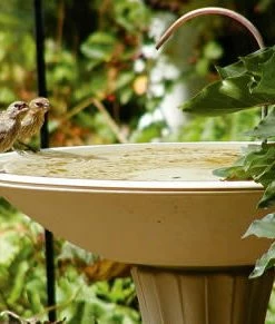 Birds Choice Bird Bath Dripper With Rock Base BirdBath Fountains, Misters & Wigglers