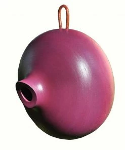 Byer Of Maine Unique Birdhouses Ellipse Wooden Birdhouse- 3 Colors