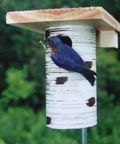 The Birdhouse Chick Bluebird Houses Gilbertson Nest Box - NABS Approved