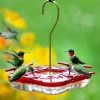 The Birdhouse Chick High-View Square Hummingbird Feeder Hummingbird Feeders