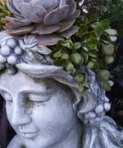 Red Carpet Studios Planters, Urns & Pots Large Lady Head Planter