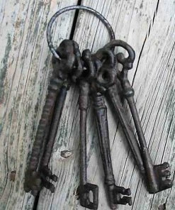 The Birdhouse Chick Cast Iron Skeleton Keys Home & Garden Accents