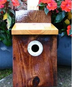 The Birdhouse Chick Unique Birdhouses Traditional Nest Box