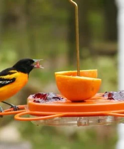 Birds Choice Oriolefest Oriole Bird Feeder