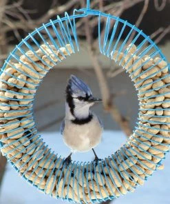 Pine Bush Home & Garden Whole Peanut Wreath Feeder Peanut Feeders