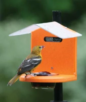 Birds Choice Recycled Pole Mount Oriole Feeder With Roof