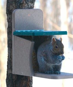 Birds Choice Recycled Birdhouses Recycled Munch Box Squirrel Feeder