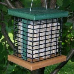 Songbird Essentials Recycled Birdhouses Double Suet Bird Feeder-Recycled
