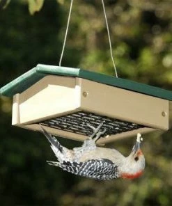 Songbird Essentials Recycled Upside Down Suet Feeder Recycled Birdhouses