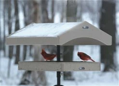 Birds Choice Recycled Pole Topper & Weather Guard