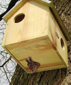 Esschert Design Squirrel Feeders Squirrel House With Bottom Entry