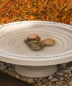 Wildlife World Deck & Ground Bird Baths Aged Stone Step-In Bird Bath