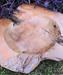 The Birdhouse Chick Home & Garden Accents Decorative Teak Wood Bowls