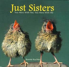Willow Creek Press Just Sisters Gift Book