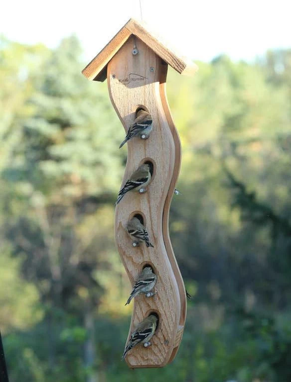 The Birdhouse Chick Large Wave Bird Feeder