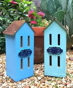 The Birdhouse Chick Butterflies Copper Butterfly House