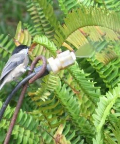 Birds Choice Leaf Mister For Butterflies, Hummingbirds & More