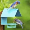 Couronne Fence-Post Bluebird Feeder- Blue Or Orange