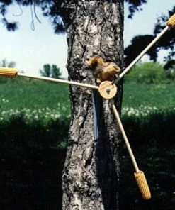 Songbird Essentials Squirrel-A-Whirl Squirrel Feeder