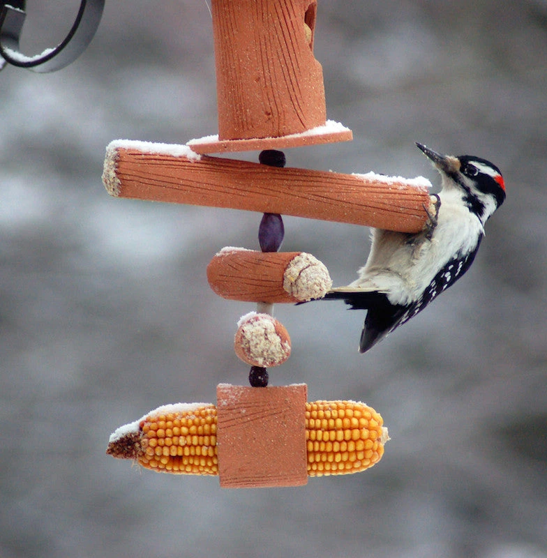 Amaranth Stoneware Unique Bird Feeders Hand Crafted Suet Feeder & More