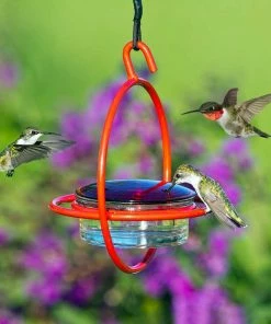 Couronne Red Orb With Perch Hummingbird Feeder