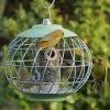 Nuttery Squirrel Proof Seed Feeder Unique Bird Feeders