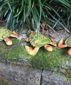 The Birdhouse Chick Mojo Garden Turtles Set/3