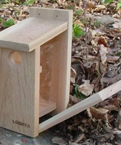 Songbird Essentials View Thru Bluebird House-NABS Approved