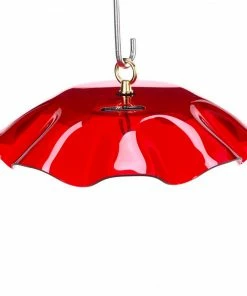 Birds Choice Acrylic Weather Guard-4 Colors