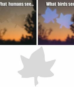 Shock Logistics Window Alert Decals- Prevent Bird Strikes